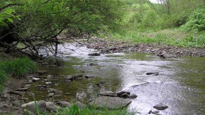 Oxbow Preserve