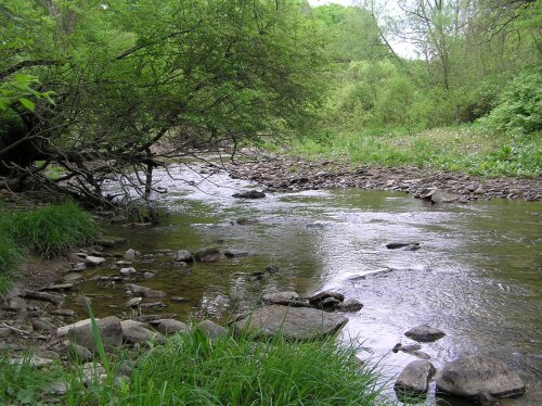 Oxbow Preserve