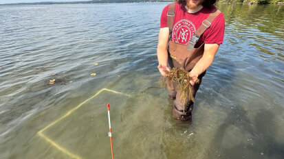 Aquatic Invasive Plants