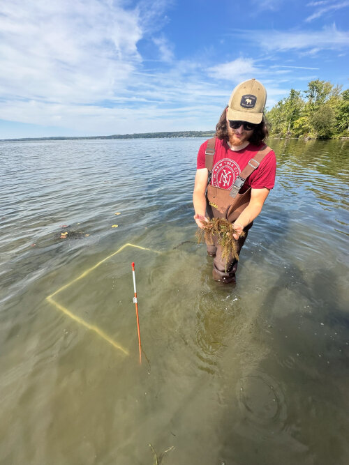 Aquatic Invasive Plants