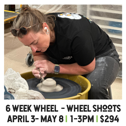 6 Week Wheel Shoots April 3