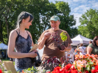 Browsing plants Fredonia Farmers Market web