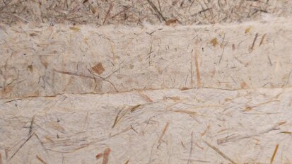 From Field to Page a Hands On Papermaking Experience