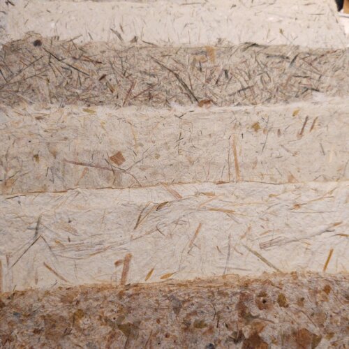From Field to Page a Hands On Papermaking Experience
