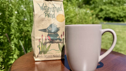 Watershed Blend Coffee