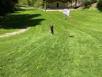 Allen Park Bandshell children flying kites