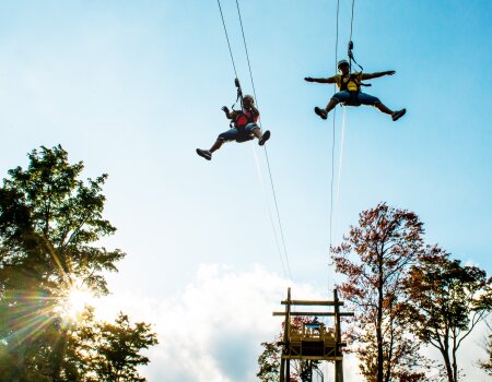 Giant Dual Zipline copy
