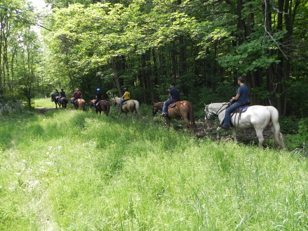 Double D.A.B. Riding Stables, Ripley, NY | Chautauqua County Visitors ...