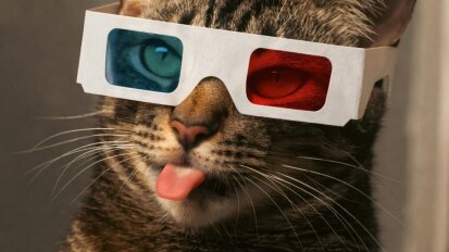catvideofest