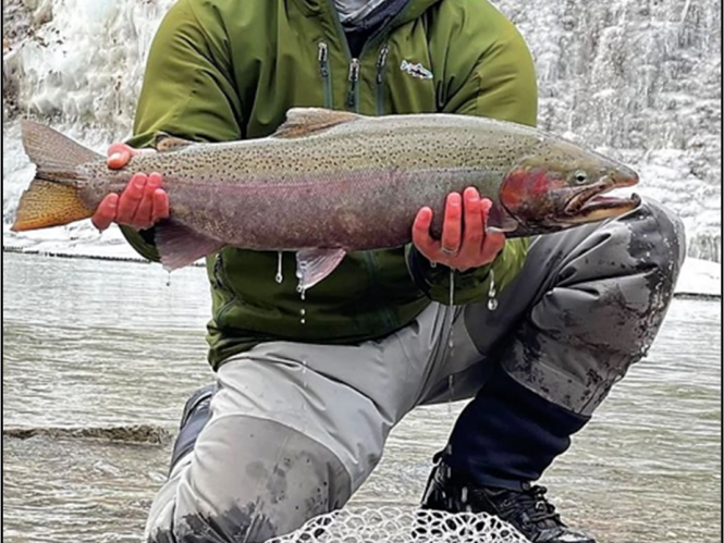 Center pin reel fishing rigs and soft-sided nets are among popular fishing rigs for Chautauqua County tributary steelhead