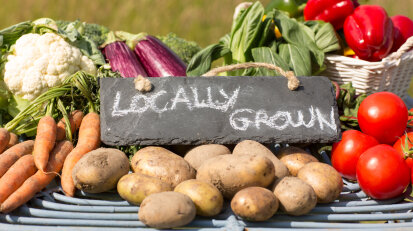 Farm & Markets