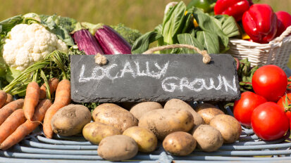 Farm & Markets