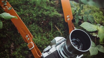 Audubon Photography Club