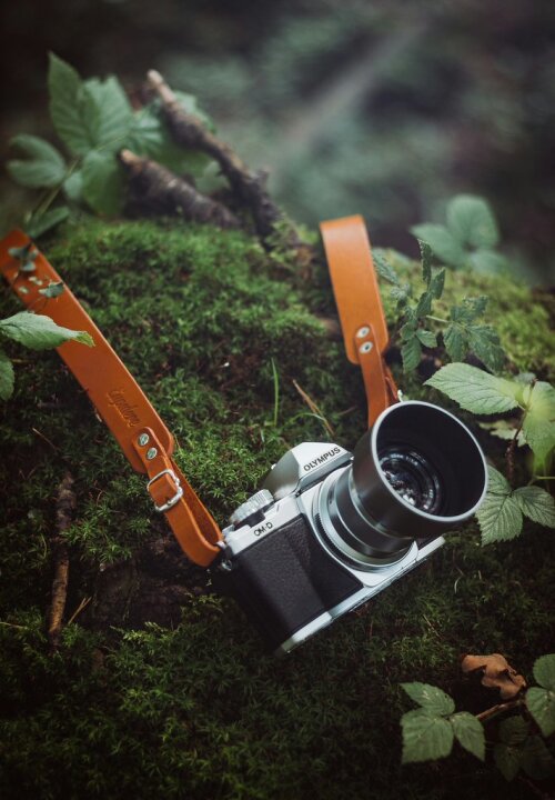Audubon Photography Club