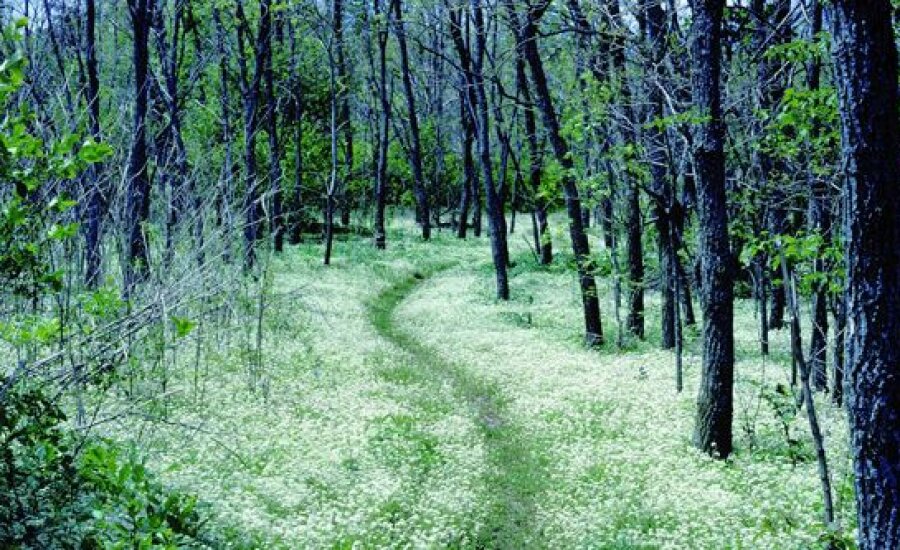 Bentley Preserve, Jamestown, NY | Chautauqua County Visitors Bureau