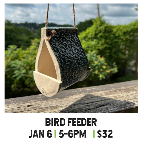 Bird Feeder January 6