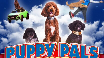 Puppy Pals Live