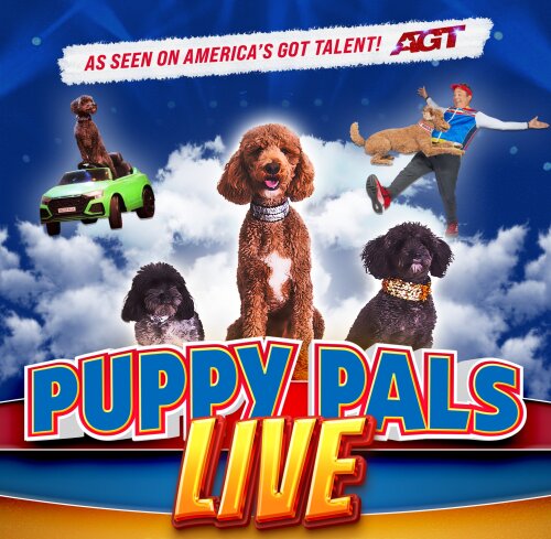 Puppy Pals Live