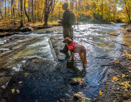 Man Fishing with Dog in Chautauqua Creek