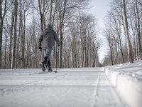 Winter E Overland Trail