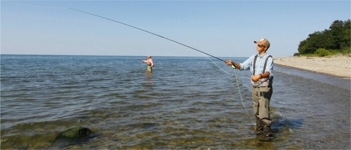 idea-fishing
