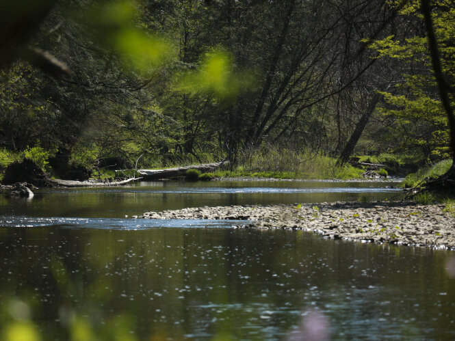 creek