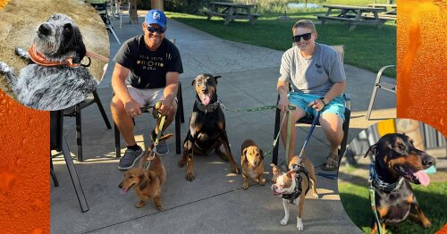 Pups on the Patio at Five and 20