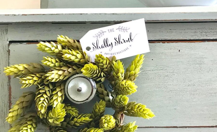 Shabby Shrub
