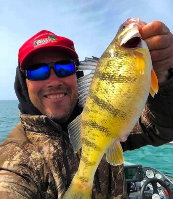 Yellow Perch,Lake Erie, Darrin Schwenkbeck Photo