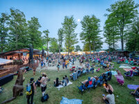 Great Blue Heron Music Festival crowd daytime