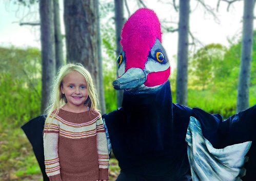 Audubon Enchanted Forest