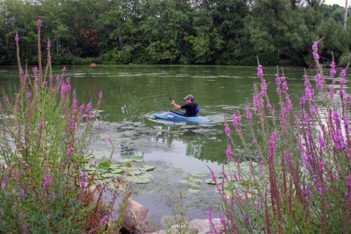 Man Kayaking on Marden Cobb Waterway Trail
