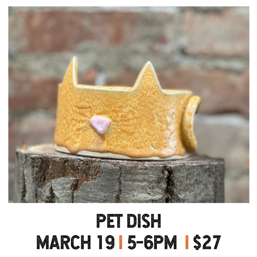 Pet Dish March 19