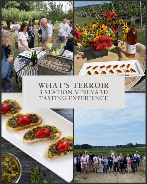 Whats-Terroir