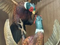 Ralph Sandquist two birds closeup