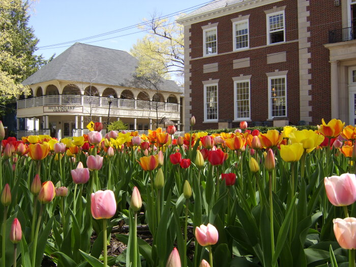 Chautauqua Spring