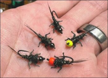 Stonefly steelhead killer recipe: Gamakatsu J-20 jig hooks - size 12, 3.0-3.5 mm tungsten beads, body is black hair ice-dubbing, Gold BR ultra wire rib, size small Lively Legz, and a green flash body. Fly recipe and photo from Adam McInerney.