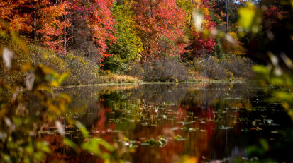 Kara Frisina Autumn Landscape College Lodge Forest