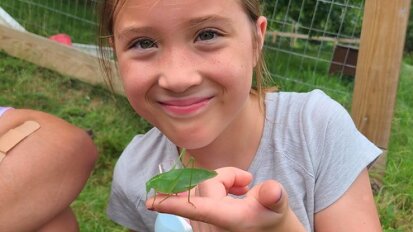 Insects and Invertebrates at Audubon