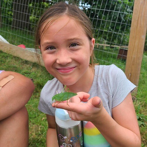 Insects and Invertebrates at Audubon