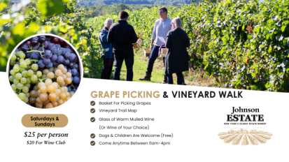 Grape Picking and Vineyard Walks Johnson Estate Winery