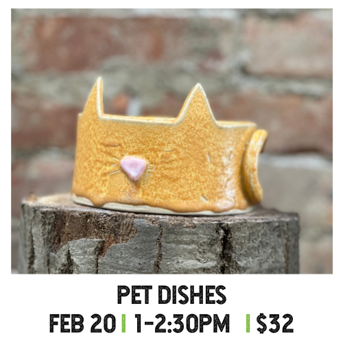 Pet Dishes February 20