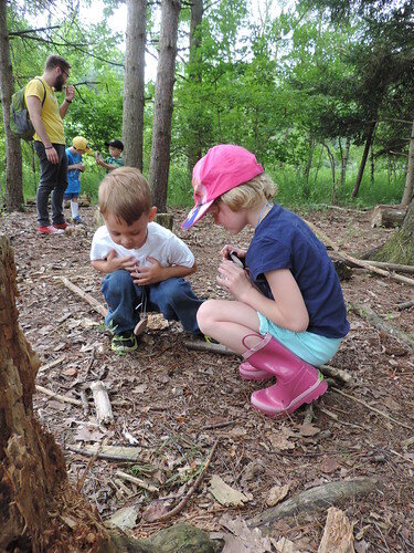 Audubon Little Explorers in the Woods