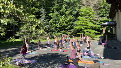 Yoga with the Birds