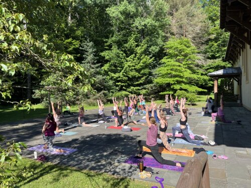 Yoga with the Birds