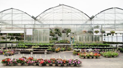 exterior greenhouse at Haff Acres Farm