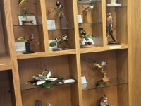 Ralph Sandquist bird carvings Hazeltine Library