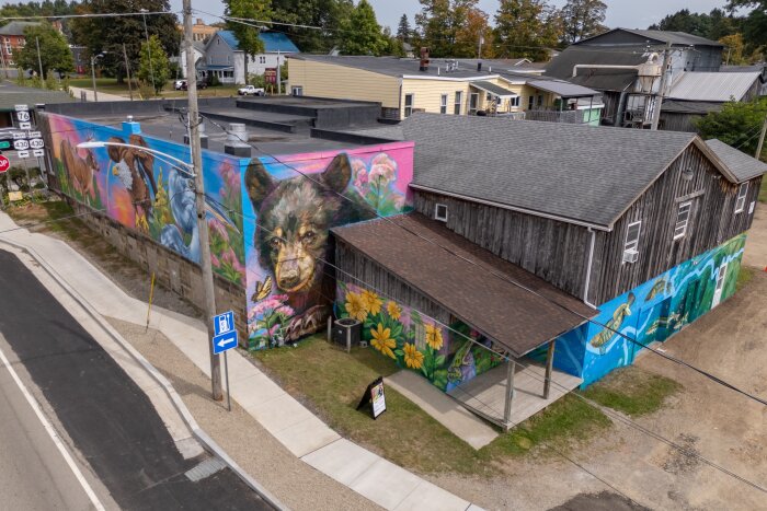 Paint CHQ Sherman Mural