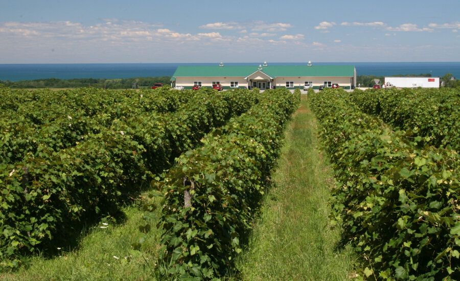 Noble Winery