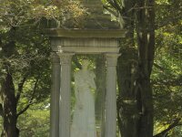 Lady in Glass